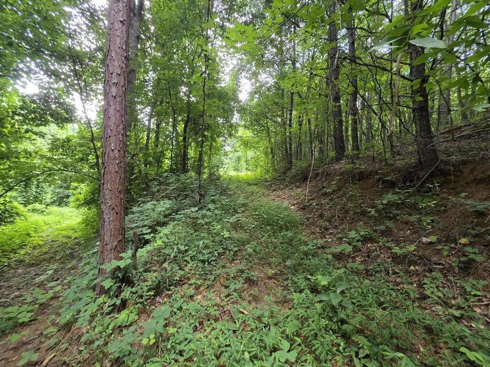 34.98 Hall Road Turtletown, TN 37391