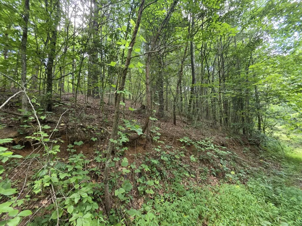 34.98 Hall Road Turtletown, TN 37391