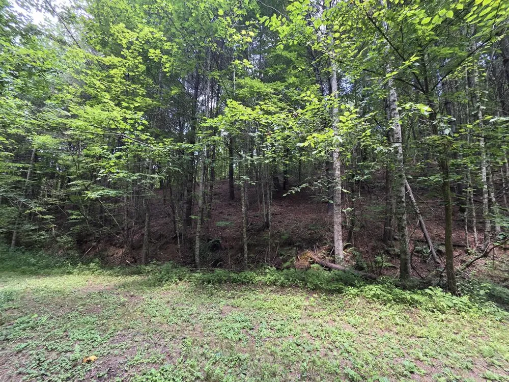 34.98 Hall Road Turtletown, TN 37391