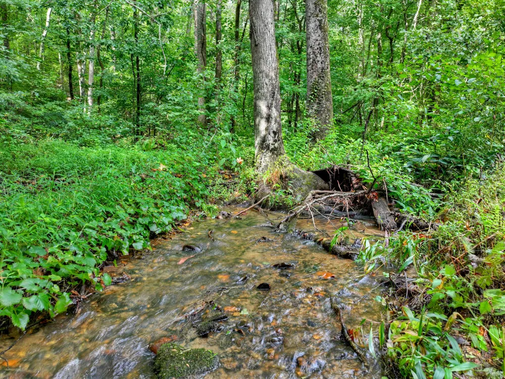 606 Johntown Rd Ellijay, GA 30536