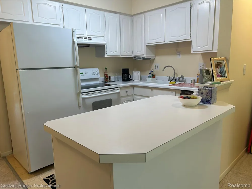 49936 Helfer Boulevard W #8 Wixom City, MI 48393