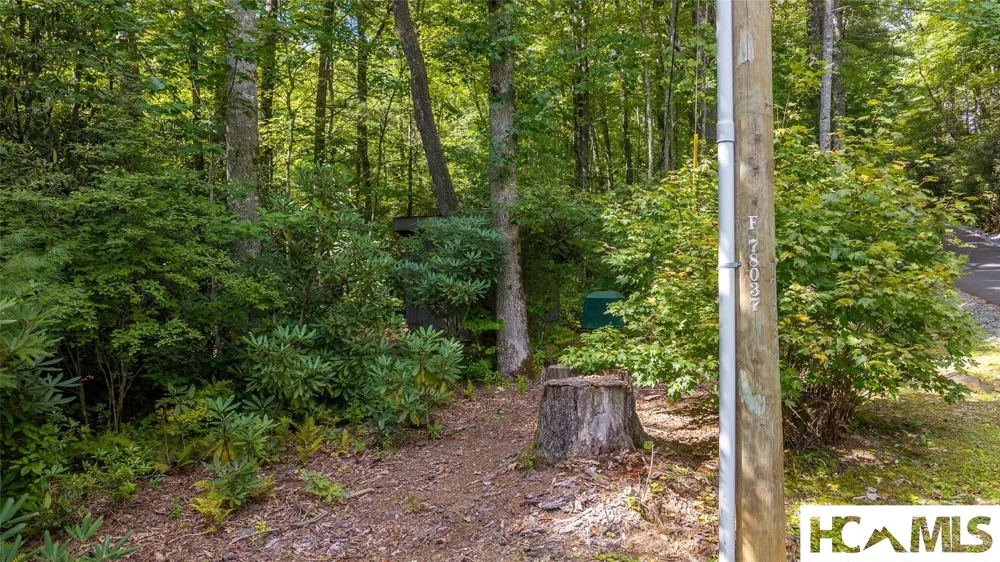 24 Southeast Ridge Road SE Cashiers, NC 28717