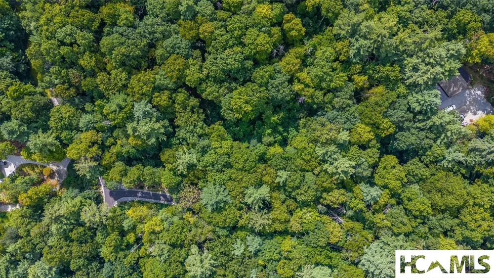 24 Southeast Ridge Road SE Cashiers, NC 28717