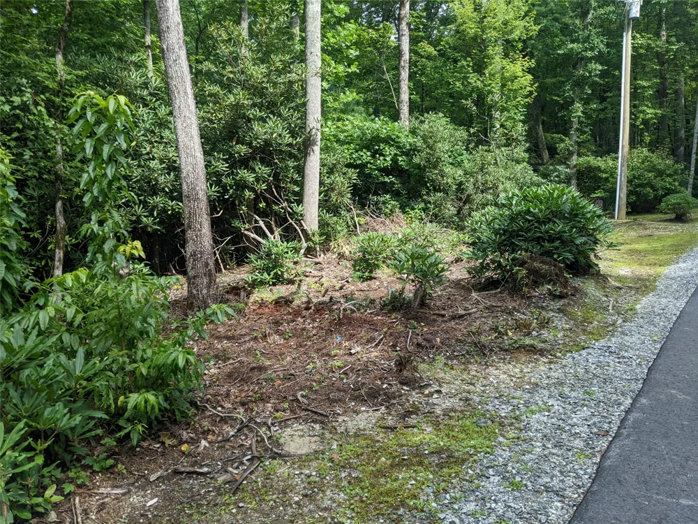 24 Southeast Ridge Road SE Cashiers, NC 28717