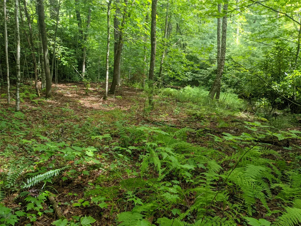 24 Southeast Ridge Road SE Cashiers, NC 28717