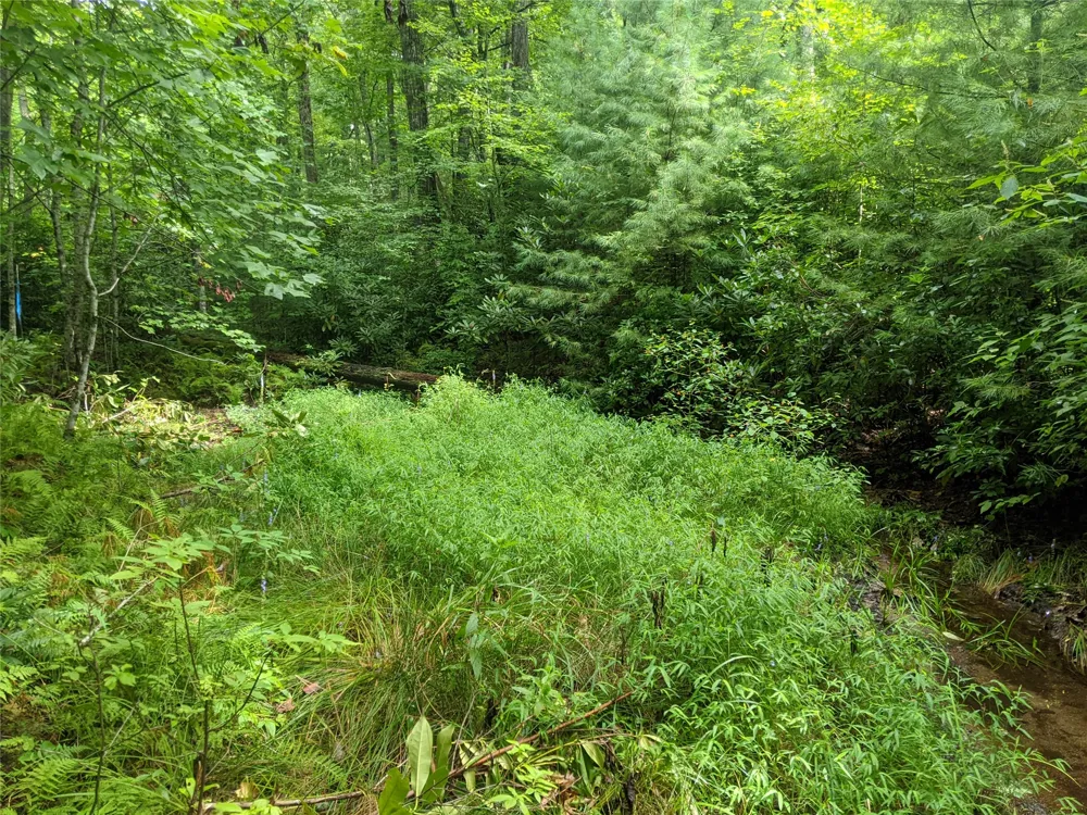 24 Southeast Ridge Road SE Cashiers, NC 28717