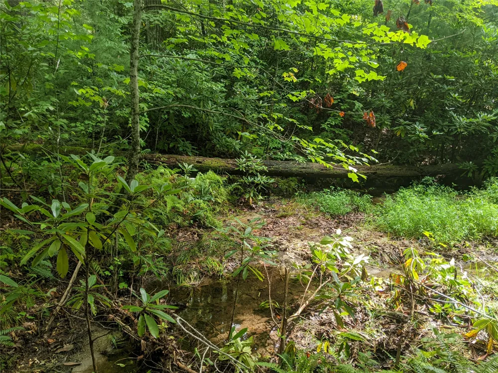 24 Southeast Ridge Road SE Cashiers, NC 28717