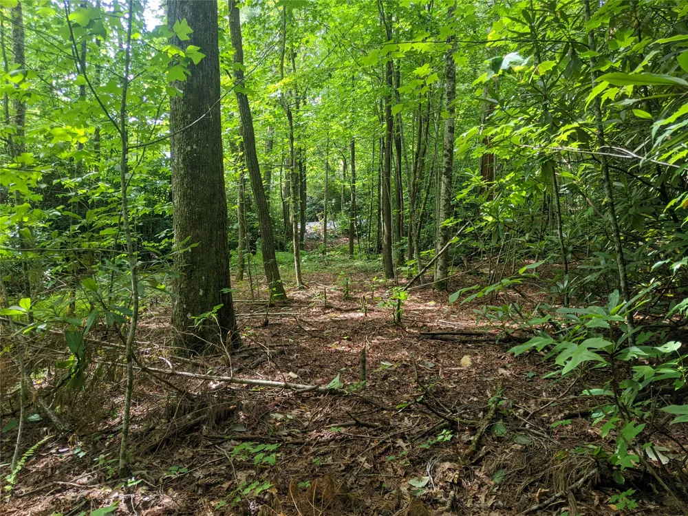 24 Southeast Ridge Road SE Cashiers, NC 28717
