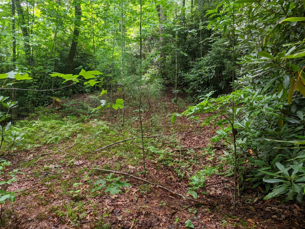 24 Southeast Ridge Road SE Cashiers, NC 28717