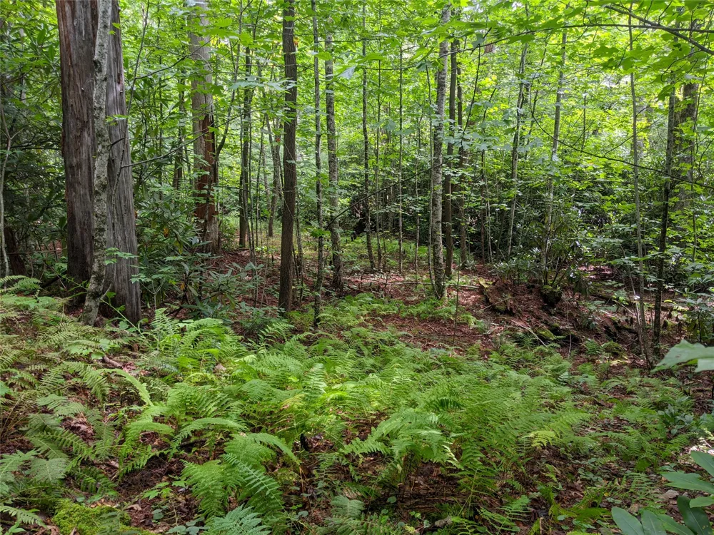 24 Southeast Ridge Road SE Cashiers, NC 28717
