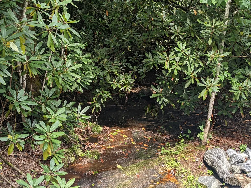 24 Southeast Ridge Road SE Cashiers, NC 28717
