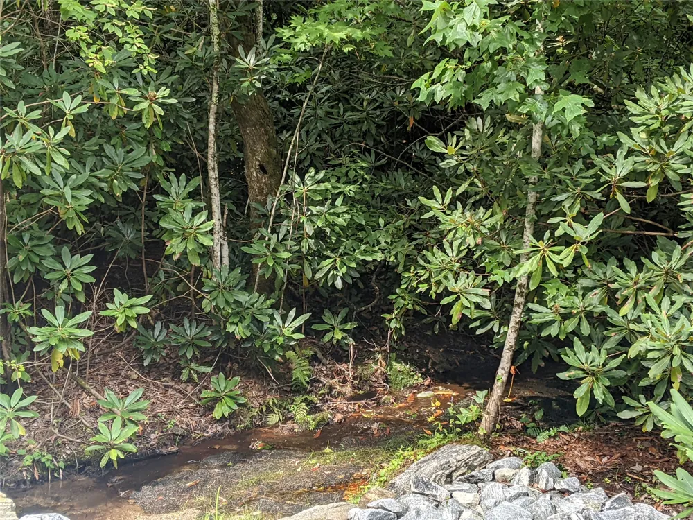 24 Southeast Ridge Road SE Cashiers, NC 28717