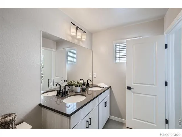 746 Pokeweed Lane Fort Collins, CO 80524