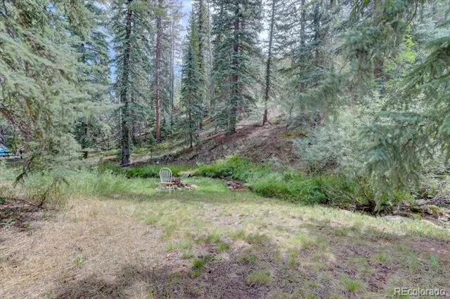 8226 S Brook Forest Road Evergreen, CO 80439