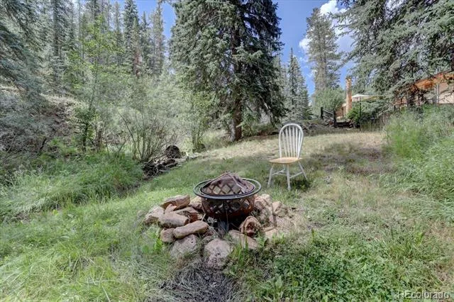8226 S Brook Forest Road Evergreen, CO 80439