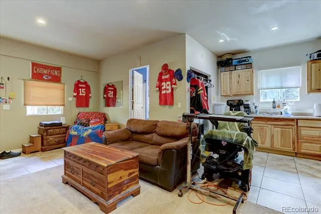 8226 S Brook Forest Road Evergreen, CO 80439