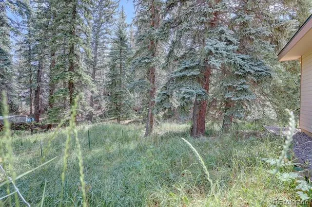 8226 S Brook Forest Road Evergreen, CO 80439