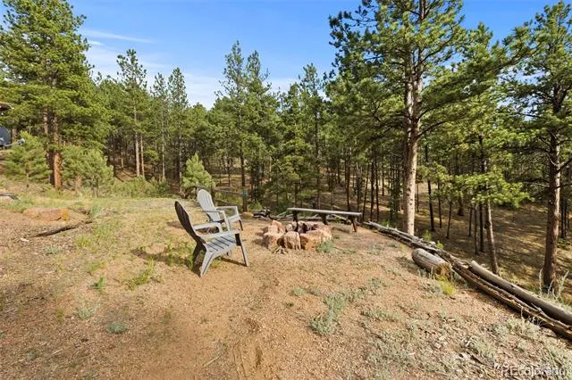 1110 Pikes Peak Drive Florissant, CO 80816