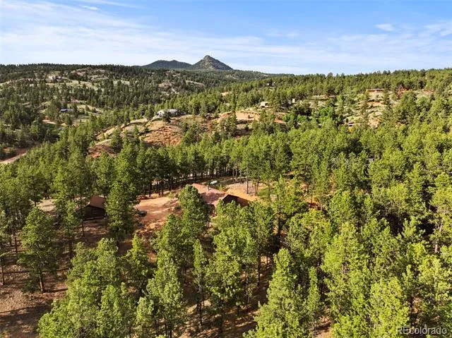 1110 Pikes Peak Drive Florissant, CO 80816