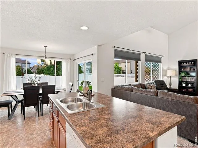 246 Castle Drive Severance, CO 80550