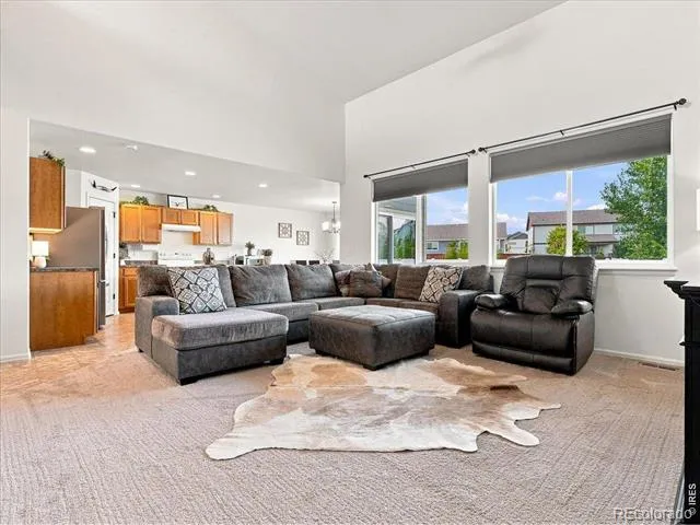 246 Castle Drive Severance, CO 80550