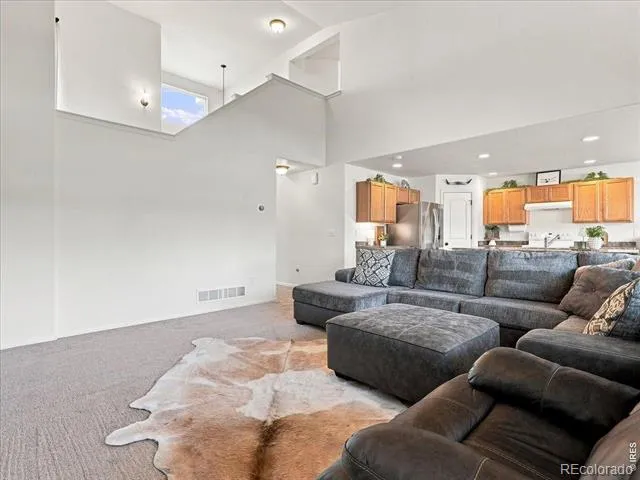 246 Castle Drive Severance, CO 80550