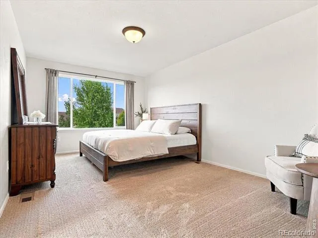 246 Castle Drive Severance, CO 80550