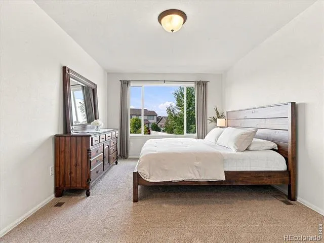 246 Castle Drive Severance, CO 80550