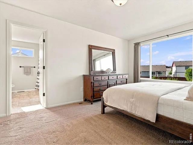 246 Castle Drive Severance, CO 80550
