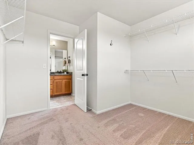 246 Castle Drive Severance, CO 80550