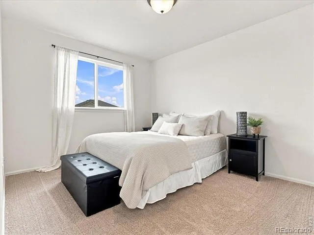 246 Castle Drive Severance, CO 80550