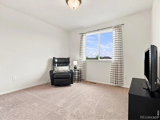 246 Castle Drive Severance, CO 80550