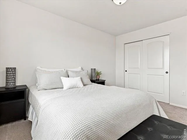 246 Castle Drive Severance, CO 80550