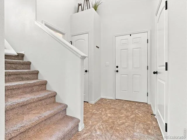 246 Castle Drive Severance, CO 80550
