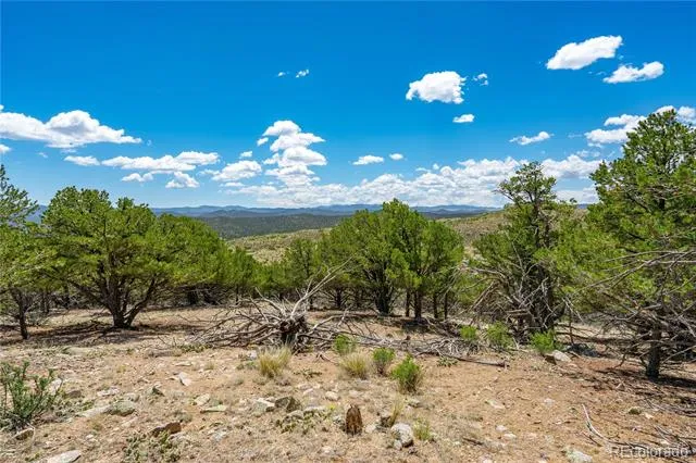 896 Shannon Trail Cotopaxi, CO 81223