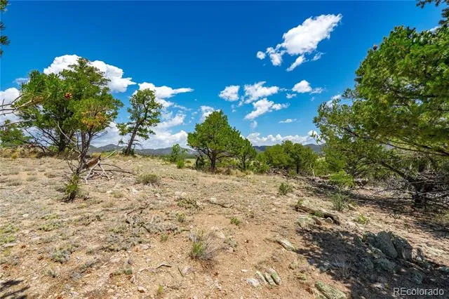 896 Shannon Trail Cotopaxi, CO 81223