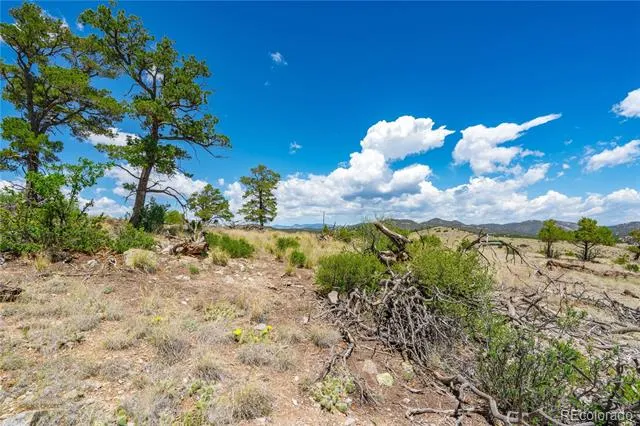 896 Shannon Trail Cotopaxi, CO 81223