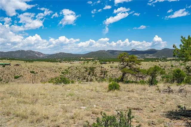 896 Shannon Trail Cotopaxi, CO 81223