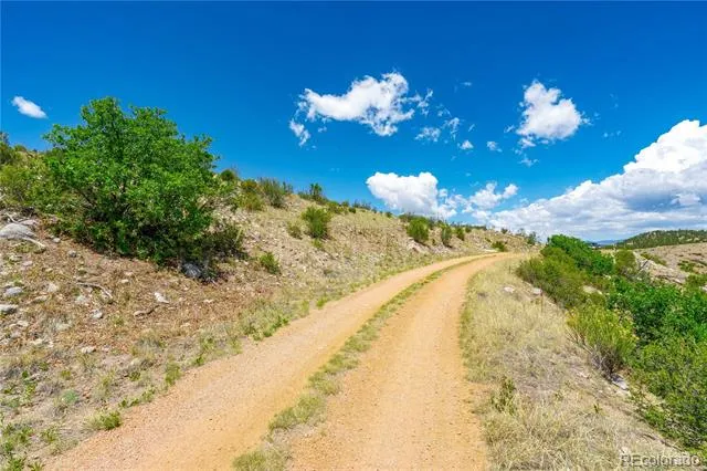 896 Shannon Trail Cotopaxi, CO 81223