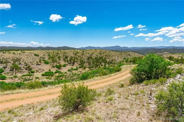 896 Shannon Trail Cotopaxi, CO 81223