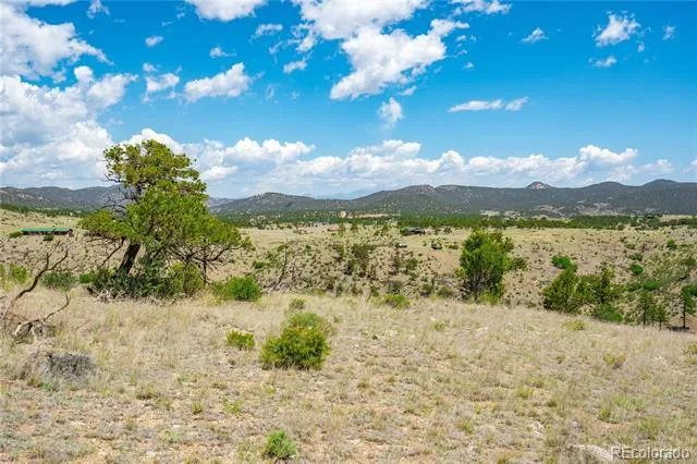896 Shannon Trail Cotopaxi, CO 81223