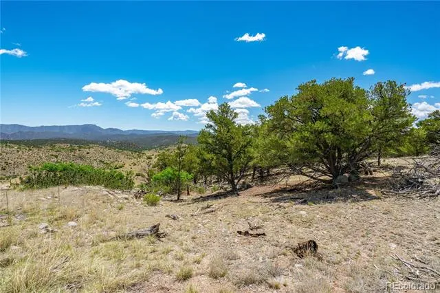 896 Shannon Trail Cotopaxi, CO 81223