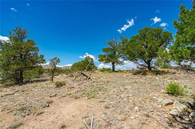 896 Shannon Trail Cotopaxi, CO 81223