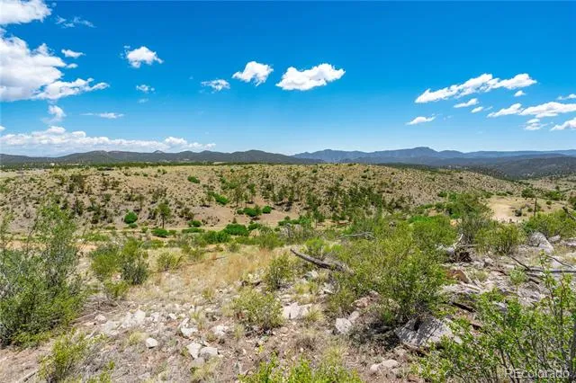 896 Shannon Trail Cotopaxi, CO 81223