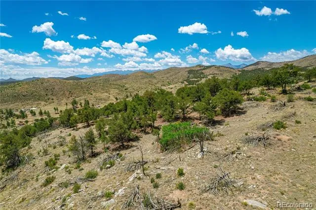 896 Shannon Trail Cotopaxi, CO 81223