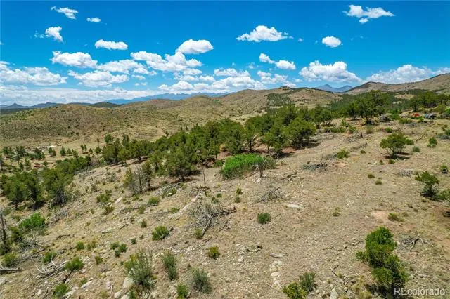 896 Shannon Trail Cotopaxi, CO 81223