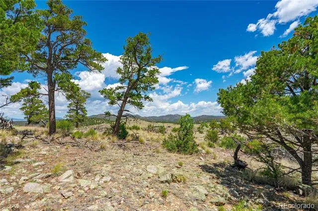 896 Shannon Trail Cotopaxi, CO 81223