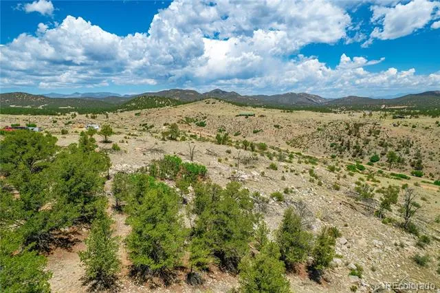 896 Shannon Trail Cotopaxi, CO 81223