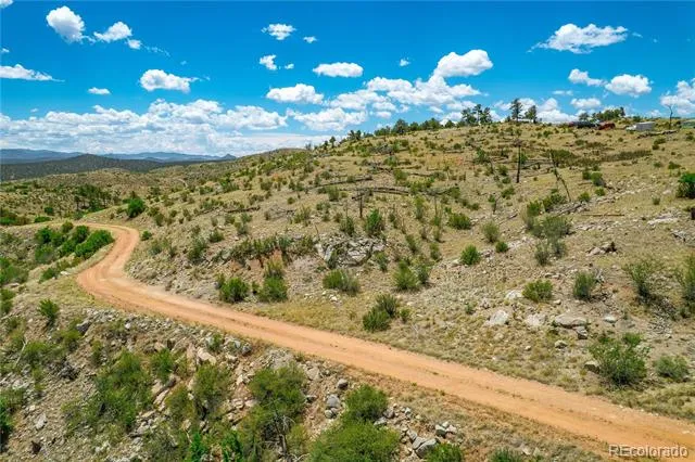 896 Shannon Trail Cotopaxi, CO 81223