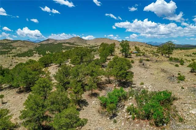 896 Shannon Trail Cotopaxi, CO 81223